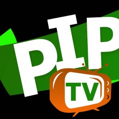PIP TV Logo WebVision du P.I.P