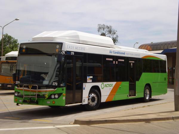 Bus in Canberra